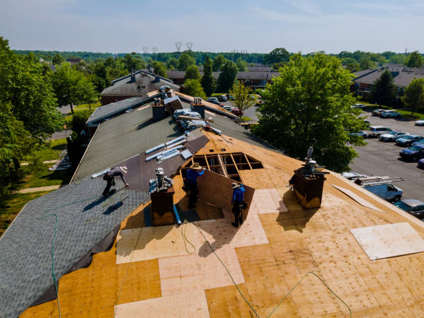 Roof Gutter Cleaning in Pen Argyl, PA